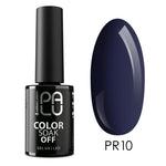 PALU GEL POLISH PR10