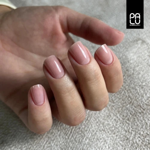 PALU PRO CONTROL BUILDER GEL CLASSIC COVER