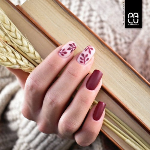 PALU GEL POLISH R5