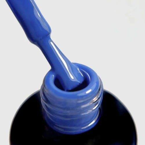 PALU GEL POLISH DU1