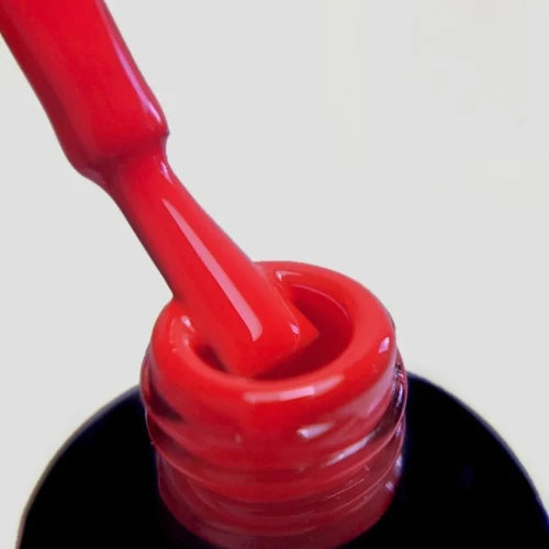 PALU GEL POLISH R13
